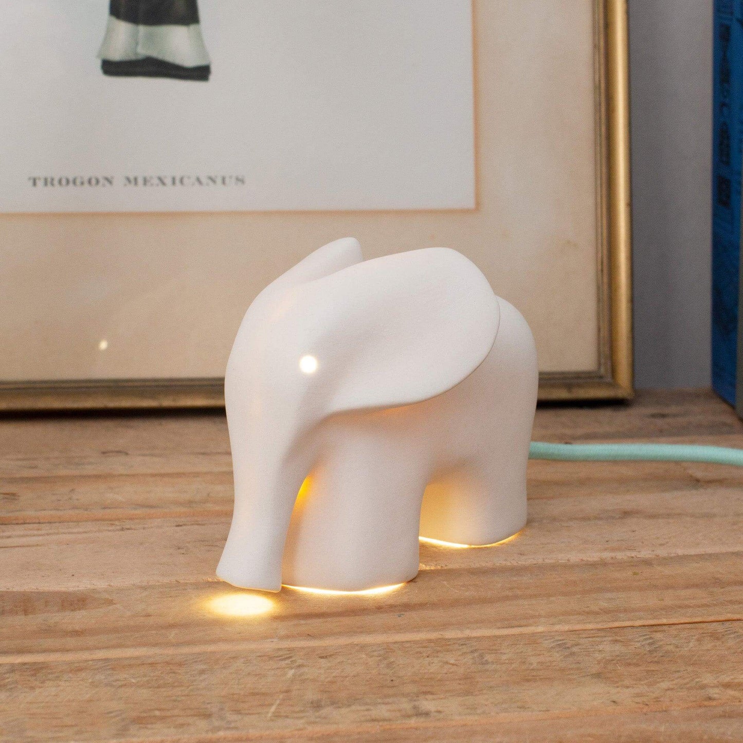 Elephant Light