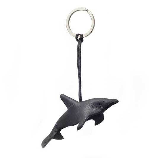 Dolphin